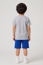 Boys T-Shirt & Shorts Set (Heather Grey & Royal Blue)