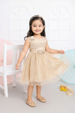 Elegant Party Frock for Girls (With Tights)