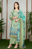 Woman wearing a green and blue embroidered outfit with a matching dupatta in a room with plants.